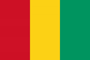 Best Bulk Email Marketing Service In Guinea