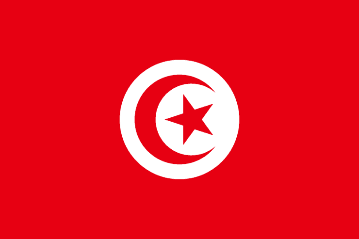 Best Bulk Email Marketing Service In Tunisia